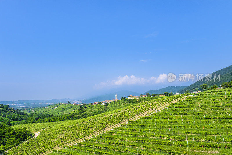 Prosecco Hills of Conegliano and valdovadene(意大利威尼托)